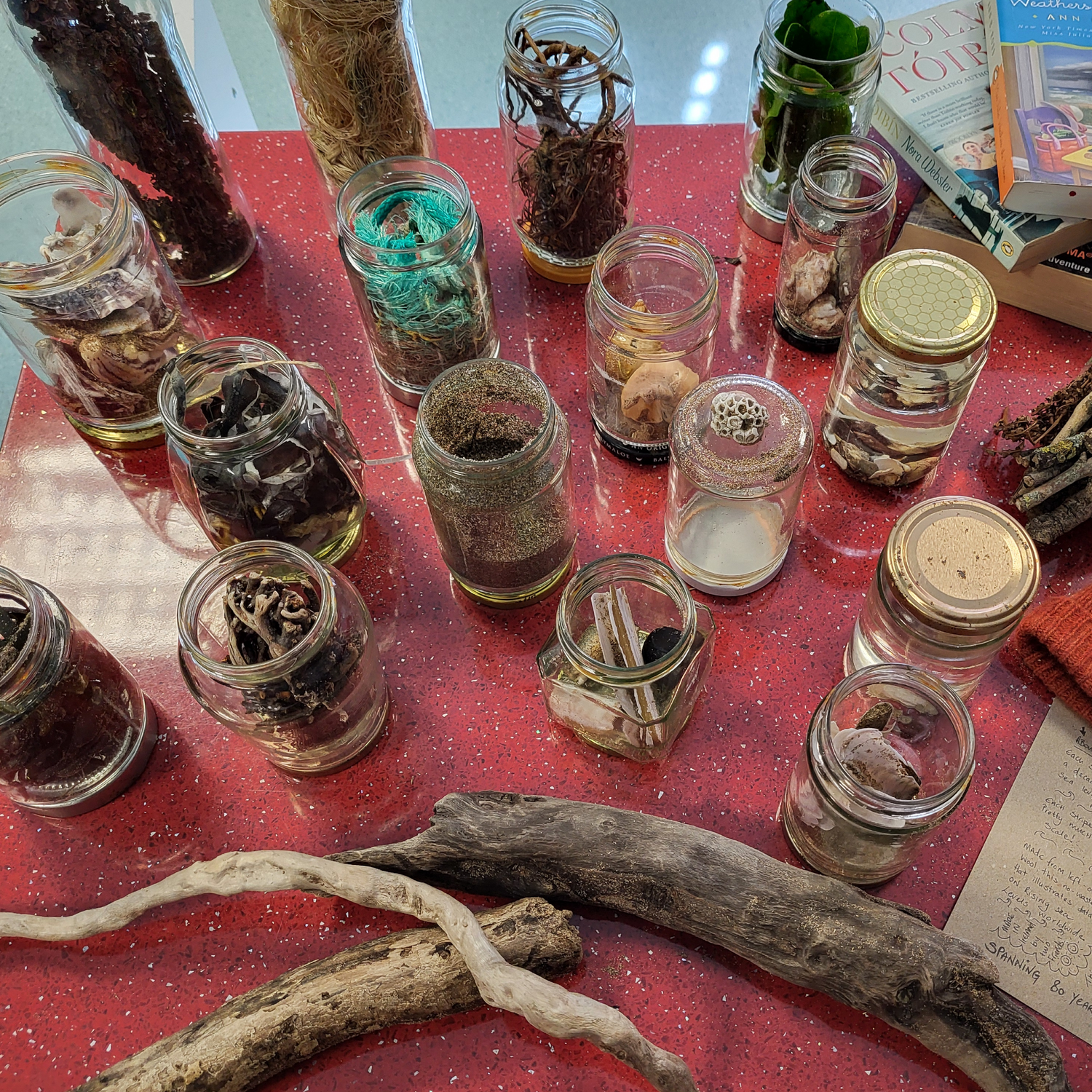 art Workshop with drift wood and beach materials in glass jars 